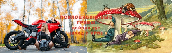 сатива Володарск