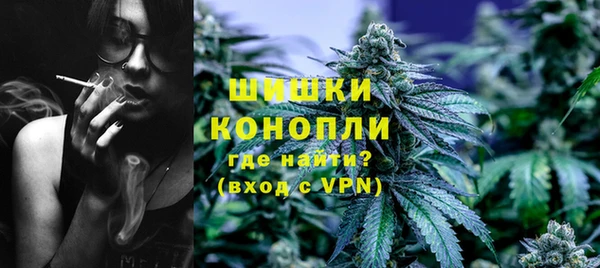 сатива Володарск